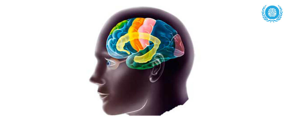 Биоэлектрической активности коры головного мозга. Ирритация головного мозга. Биоэлектрическая активность мозга. Ирритация коры головного мозга. Ирритация это.
